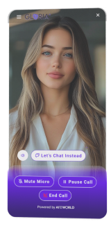 Chat Interface